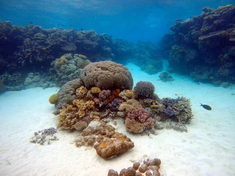 From Phi Phi : Maya Bay snorkeling trip by Speed Boat - A fast Phi Phi route with a clear focus on the water