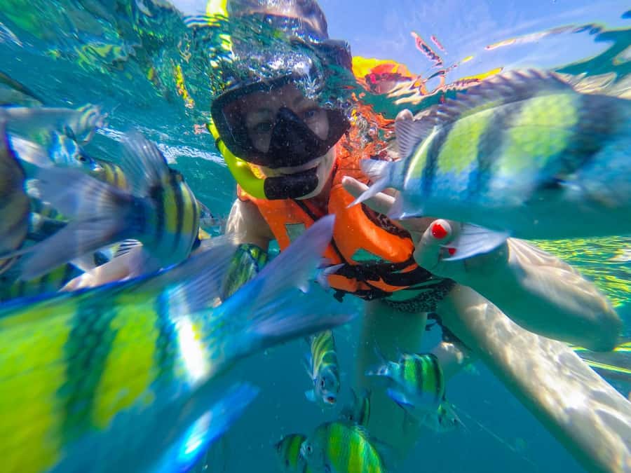 From Phuket: Phi Phi and Maya Bay Snorkeling by Speedboat - One day, three island areas, and a lot of sea