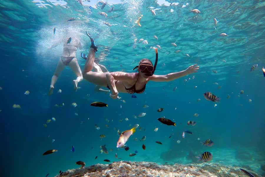 From Phuket: Phi Phi and Maya Bay Snorkeling by Speedboat - Monkey Beach and the first snorkel stop