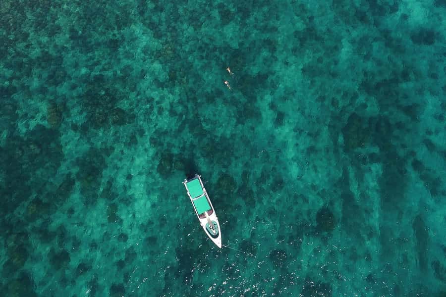 From Phuket: Phi Phi Island Private Full-Day Speedboat Trip - Is the $1,286 private boat worth it?