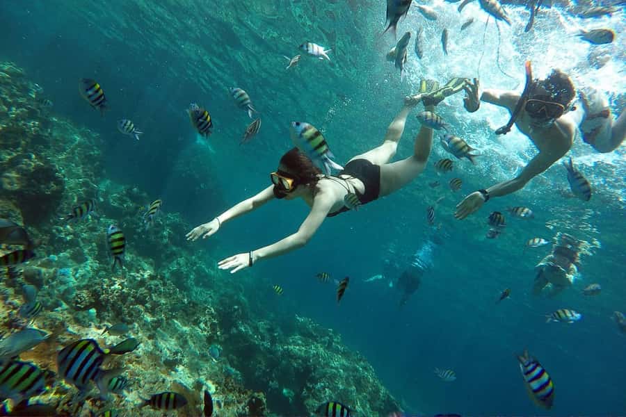 From Phuket: Phi Phi Island Private Full-Day Speedboat Trip - Lunch on Phi Phi Don