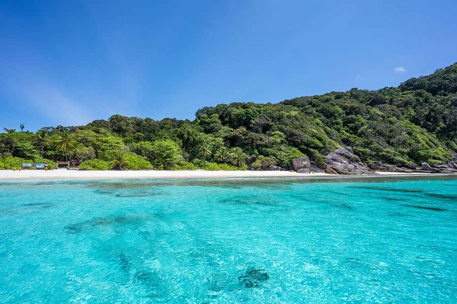 From Phuket: Similan Islands Snorkeling Trip by Speedboat - What the $98 price really buys