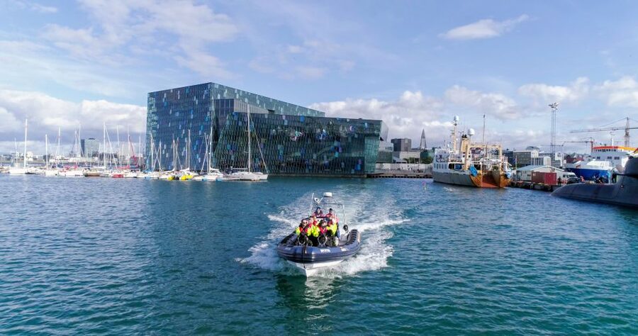 From Reykjavik: Whale Watching Tour by Speedboat - Should you book the Katla Whale Watching RIB?