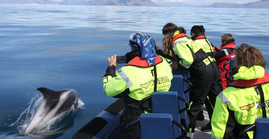 From Reykjavik: Whale Watching Tour by Speedboat - Harpa, Sun Voyager, and Reykjavik from the water
