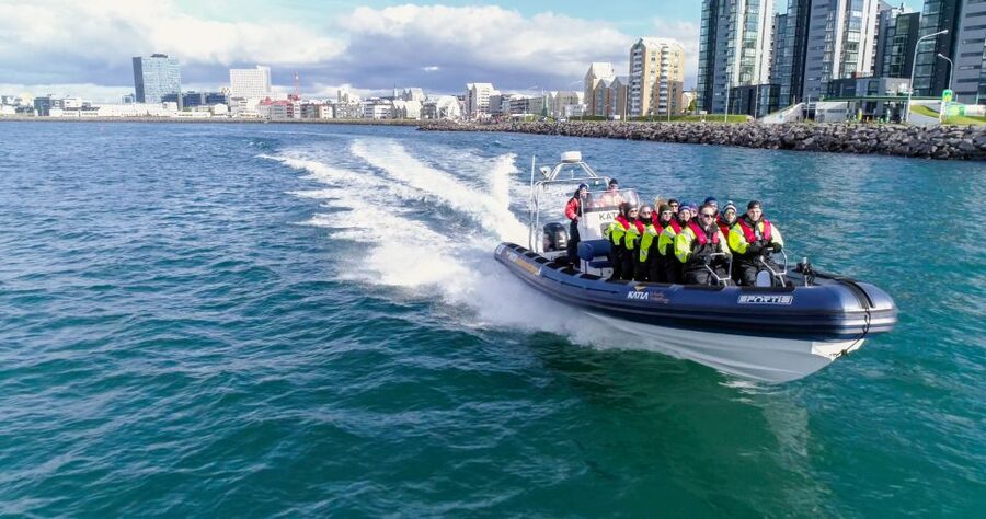 From Reykjavik: Whale Watching Tour by Speedboat - Puffin islands and the best bird watching