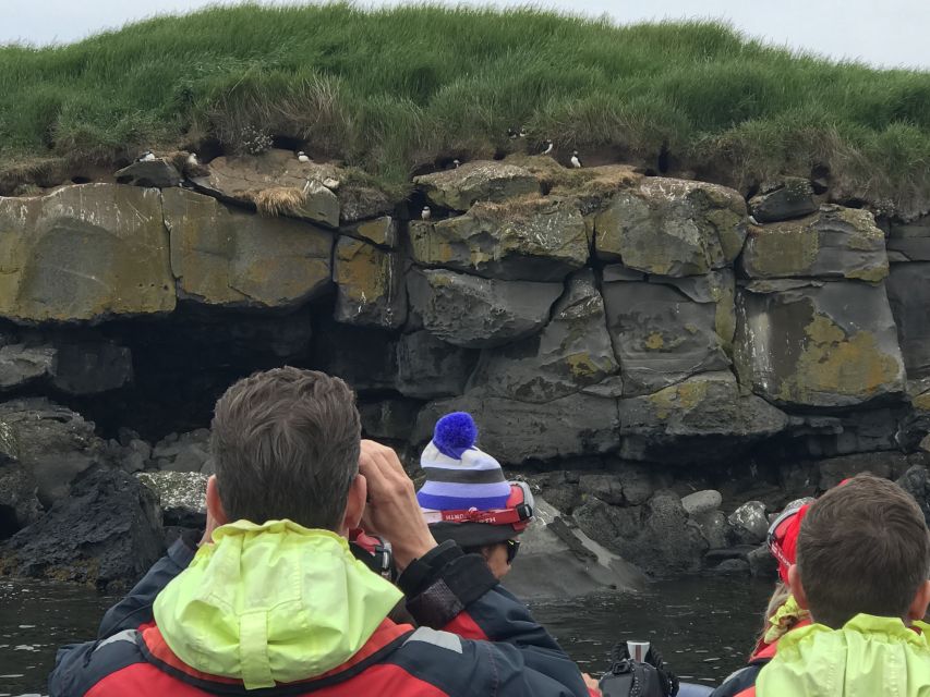 From Reykjavik: Whale Watching Tour by Speedboat - Who should book this speedboat tour?