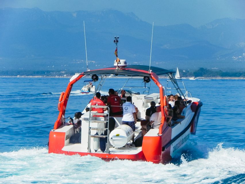 From Salou/Cambrils: Speedboat Tour - Leaving Salou or Cambrils and finding your sea legs