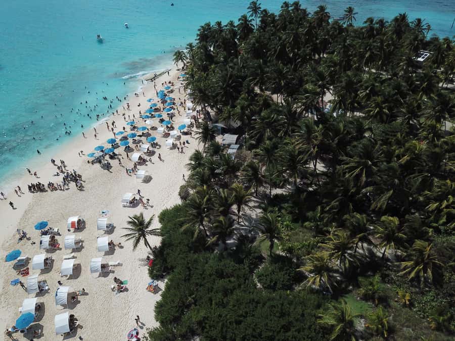From San Andrés: Speedboat Tour to Johnny Cay Island - Key points to know before booking