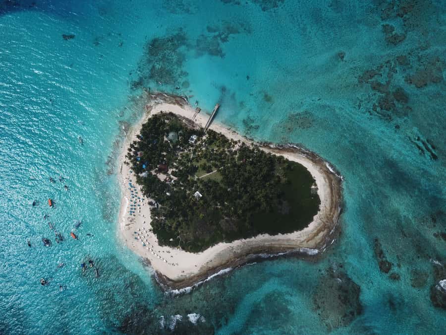 From San Andrés: Speedboat Tour to Johnny Cay Island - Johnny Cay in 3.5 hours