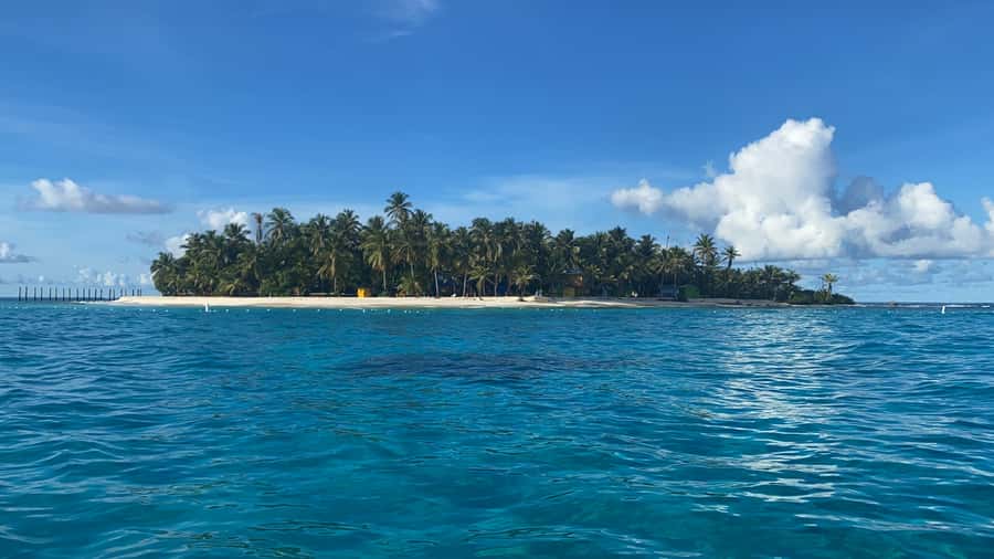 From San Andrés: Speedboat Tour to Johnny Cay Island - Swimming, snorkeling, and marine life