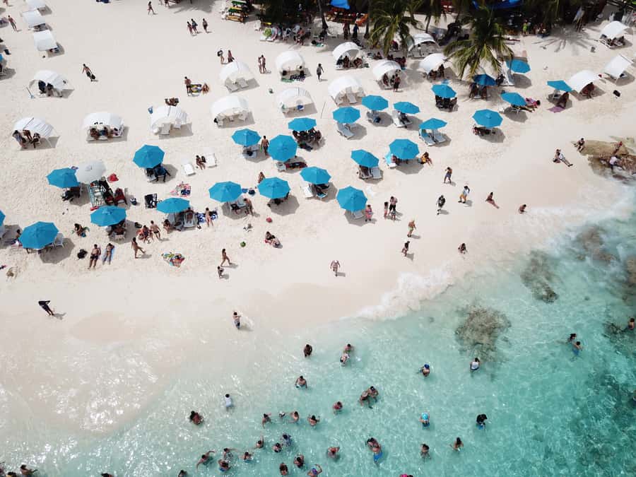 From San Andrés: Speedboat Tour to Johnny Cay Island - Iguanas, restaurants, and time on shore