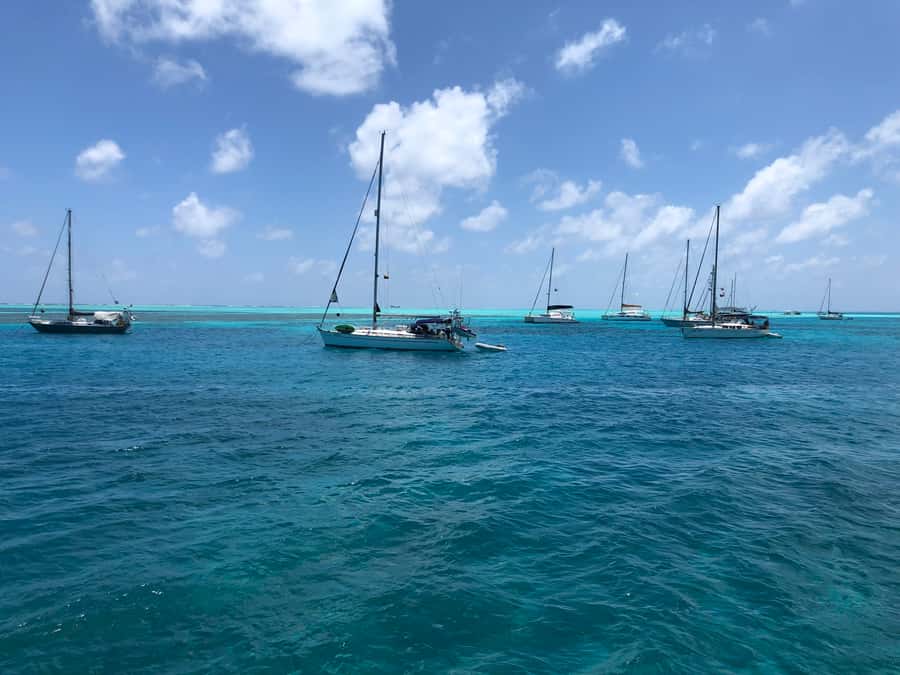From San Andrés: Speedboat Tour to Johnny Cay Island - How it compares with the full-day cay excursion
