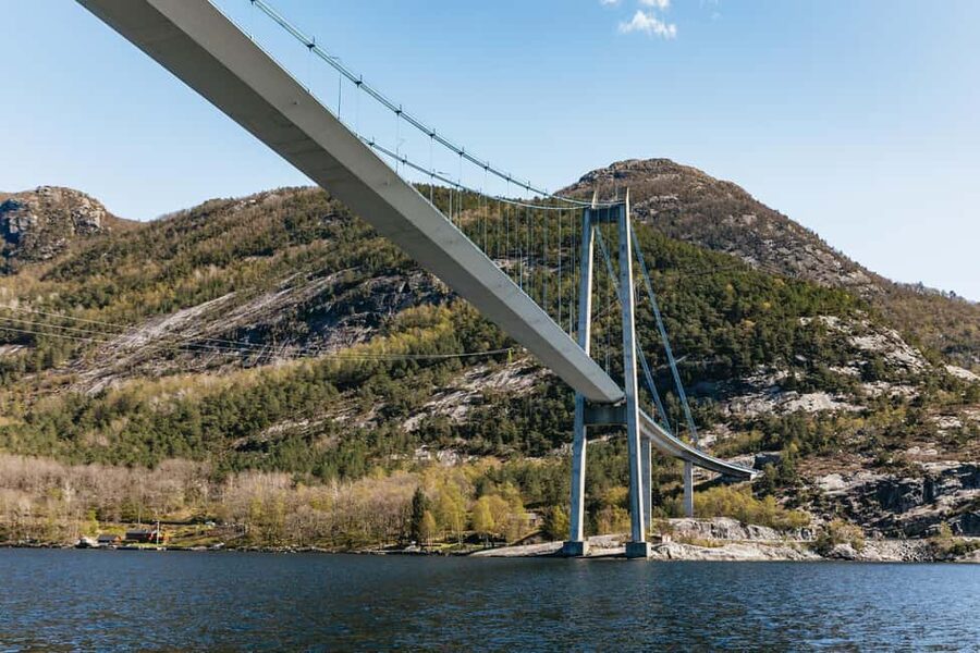 From Stavanger: Lysefjorden & Pulpit Rock RIB Boat Tour - Wildlife and the quieter moments
