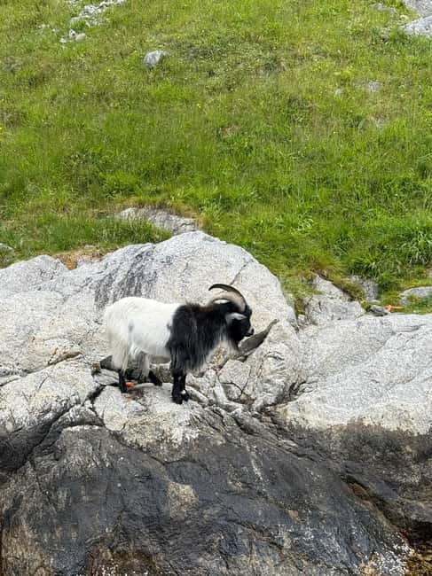 From Stavanger: Lysefjorden & Pulpit Rock Safari by RIB - Why the Lysefjord ride feels so different