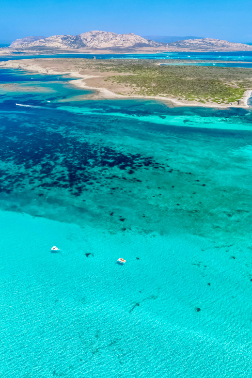 From Stintino: Half-Day Speedboat Tour to Asinara - Why this Stintino boat trip works so well