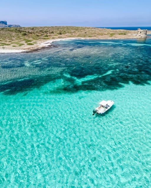 From Stintino: Half-Day Speedboat Tour to Asinara - The first swim stop near Asinara’s clear water