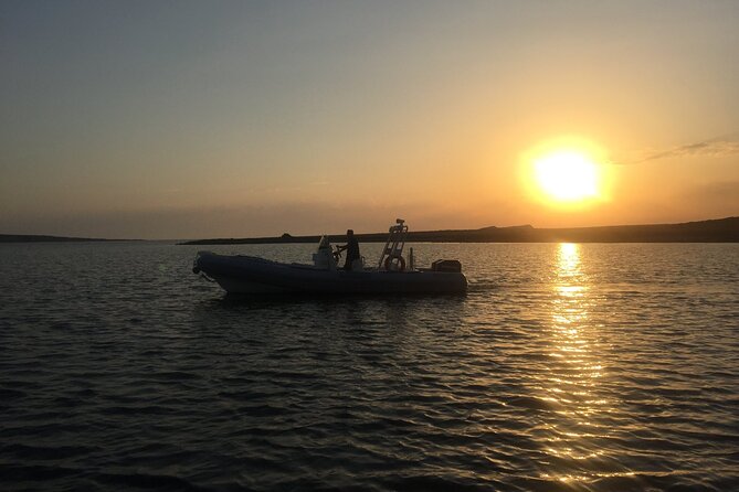 From Stintino: RIB tour in the gulf of Asinara - A quick ride into the Gulf of Asinara