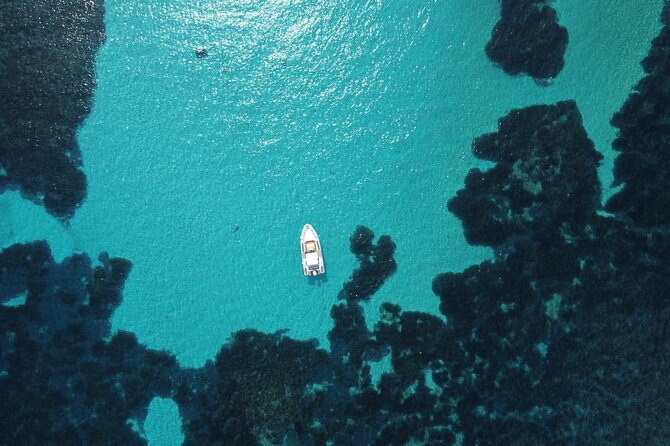 From Stintino: RIB tour in the gulf of Asinara - The skipper can make or break the trip