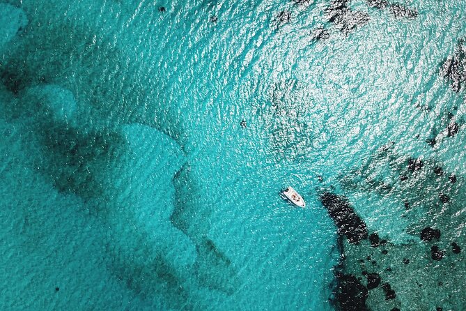 From Stintino: RIB tour in the gulf of Asinara - Is $60.46 a fair price?