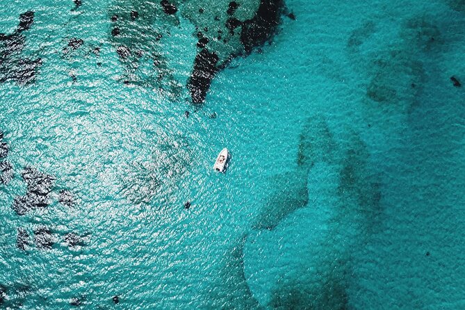 From Stintino: RIB tour in the gulf of Asinara - Booking, meeting point, and cancellation