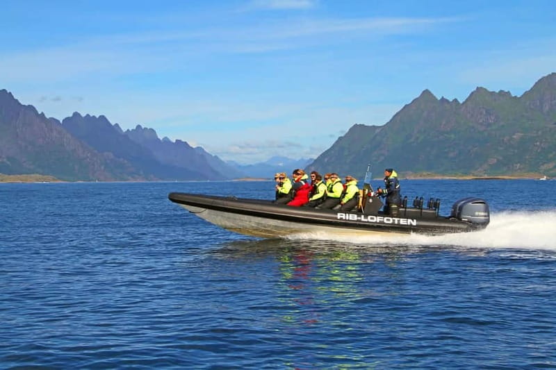 From Svolvær: Lofoten RIB Sea Eagle Safari Trollfjord Cruise - Why the sea eagle encounter is the main event
