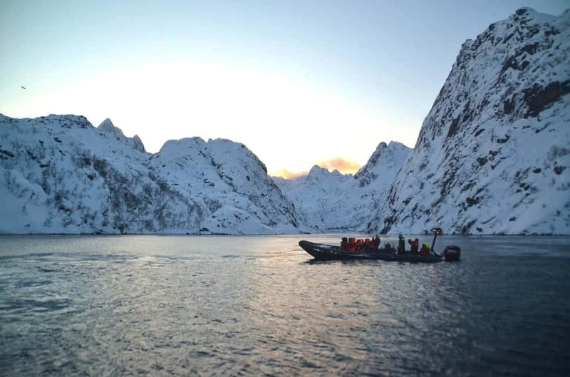 From Svolvær: Lofoten RIB Sea Eagle Safari Trollfjord Cruise - Practical tips for a better outing