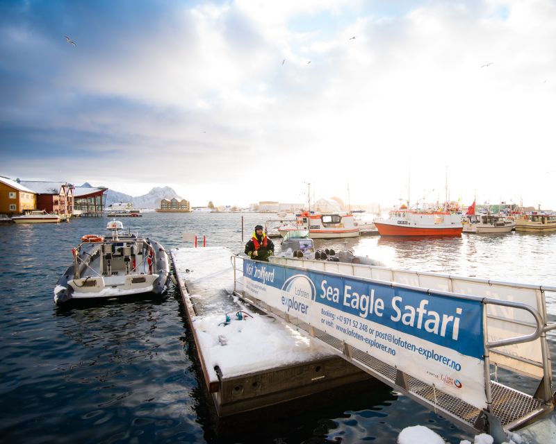 From Svolvaer: Trollfjorden Wildlife RIB Cruise - Skrova adds a human touch to the route