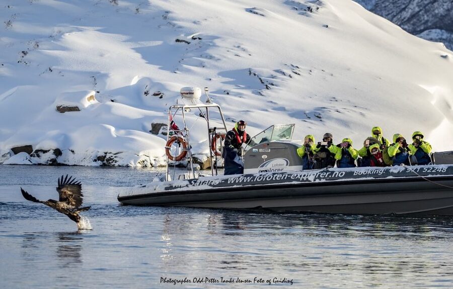 From Svolvaer: Trollfjorden Wildlife RIB Cruise - Is $125 a fair price for two hours?