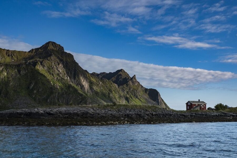 From Svolvaer: Trollfjorden Wildlife RIB Cruise - Øyhellsundet brings the first big views
