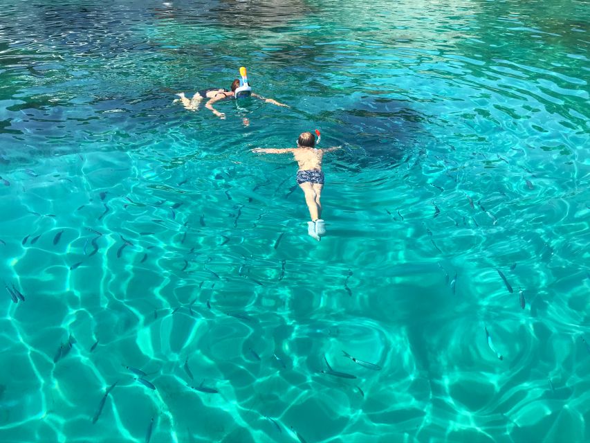 From Trogir: Three Islands Half-Day Speedboat Tour - Food, timing, and smart packing