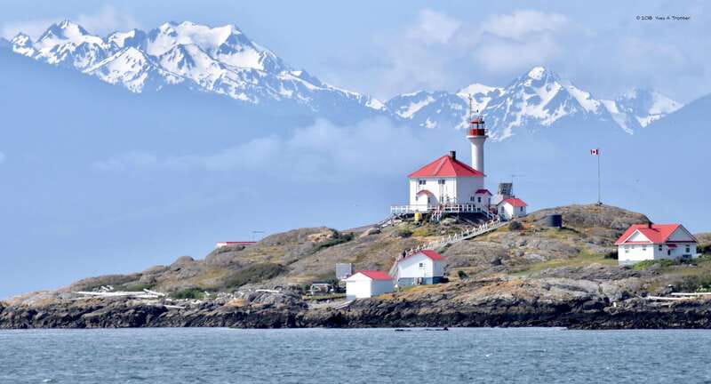 From Victoria: Whale Watching Tour by Zodiac Boat - Why the three-hour length works
