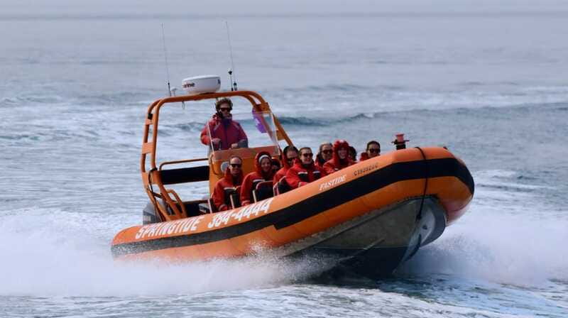 From Victoria: Whale Watching Tour by Zodiac Boat - Booking flexibility and practical details