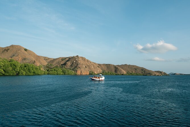 Full-Day Adventure Tour to komodo Island with join Speed Boat tur - Komodo Island and the ranger-led forest walk