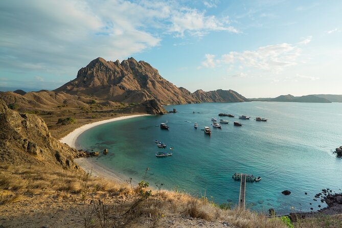 Full-Day Adventure Tour to komodo Island with join Speed Boat tur - What the $130 price really includes