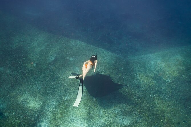 Full-Day Adventure Tour to komodo Island with join Speed Boat tur - Padar Island: the rewarding first climb