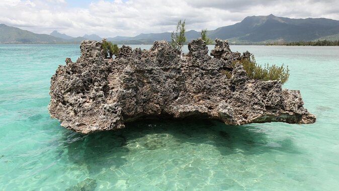 Full day Shared Speedboat Tour - South West Lagoon Dolphin Swim - Key points to know before you book