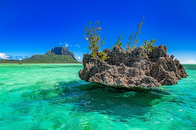 Full day Shared Speedboat Tour - South West Lagoon Dolphin Swim - How the dolphin policy affects the experience