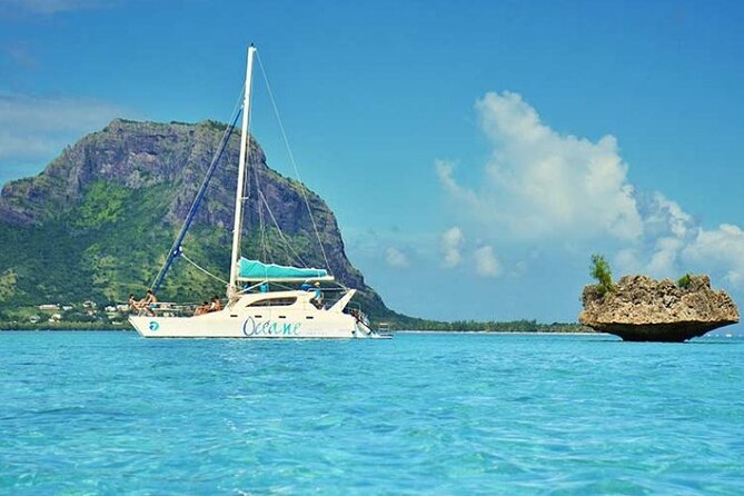 Full day Shared Speedboat Tour - South West Lagoon Dolphin Swim - Should you book the South West lagoon day?