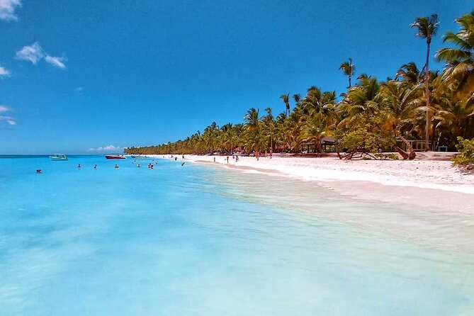 Full Day Tour to Saona Island by Catamaran and Speedboat - The morning start from Punta Cana
