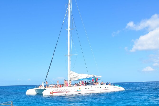 Full Day Tour to Saona Island by Catamaran and Speedboat - Saona Island: four hours of beach time