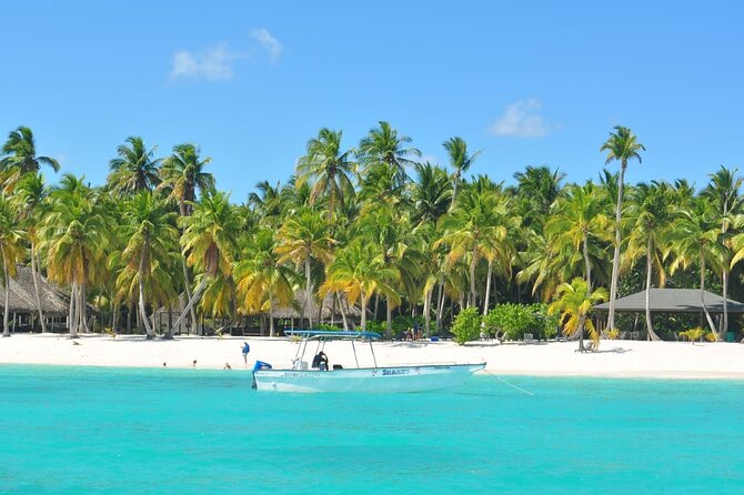 Full Day Tour to Saona Island by Catamaran and Speedboat - Playa Palmilla’s shallow natural pool
