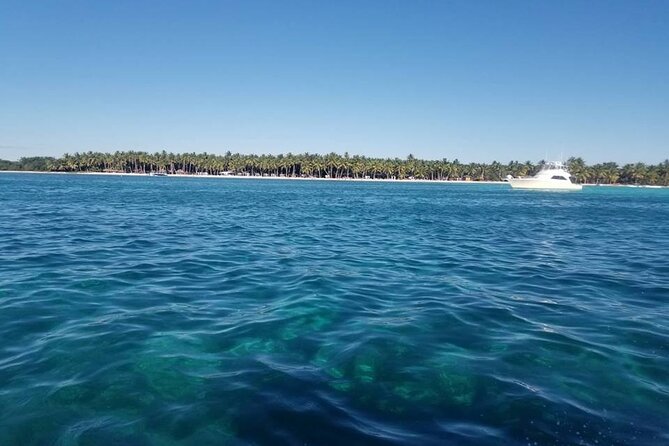 Full Day Tour to Saona Island by Catamaran and Speedboat - What could go wrong, and how to protect your day