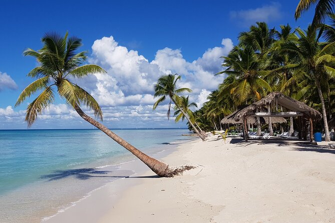 Full Day Tour to Saona Island by Catamaran and Speedboat - Choosing between a catamaran and a speedboat
