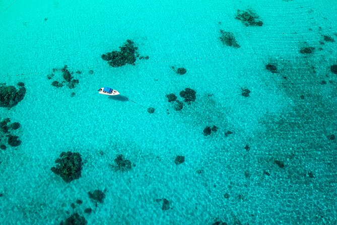 Full-day Tour to the Similan Islands by Speedboat from Khao Lak - The ride back and evening food