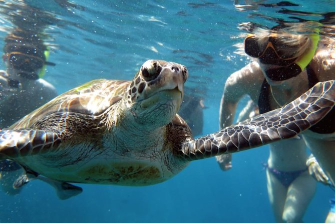 Full-day Tour to the Similan Islands by Speedboat from Khao Lak - How the speedboat affects the day