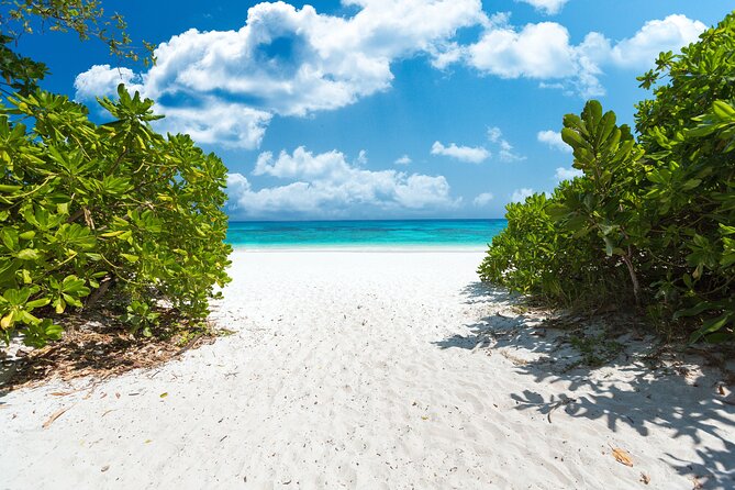 Full-day Tour to the Similan Islands by Speedboat from Khao Lak - Who will get the most from this tour
