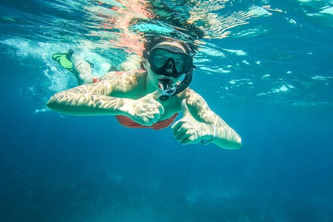 Full-Day Trip to Koh Tao and Koh Nang Yuan from Koh Samui by Speedboat - Should you book it?