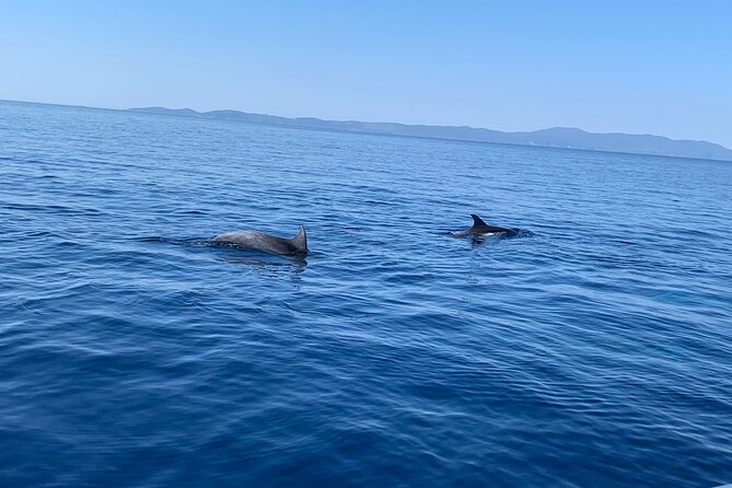 Fully customized private boat trip from Trogir and Split - Brac and Milna: a practical lunch stop