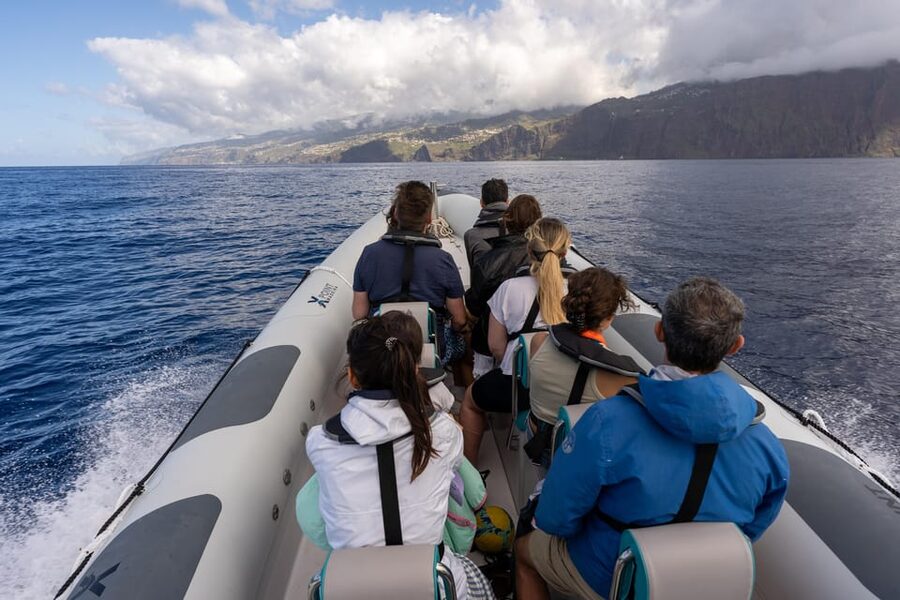 Funchal: Guarantee Wild Dolphin&Whale Watching by RIB - Motion, weather, and seasickness