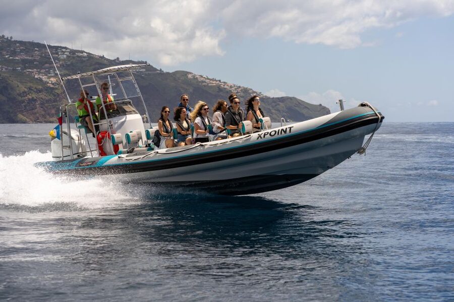 Funchal: RIB Whale Watching Cruise and Optional Dolphin Swim - Why this RIB trip feels different from a standard boat tour